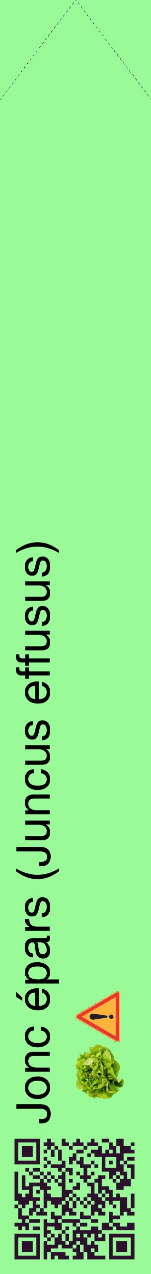 Étiquette de : Juncus effusus - format c - style noire14_simplehel avec qrcode et comestibilité simplifiée