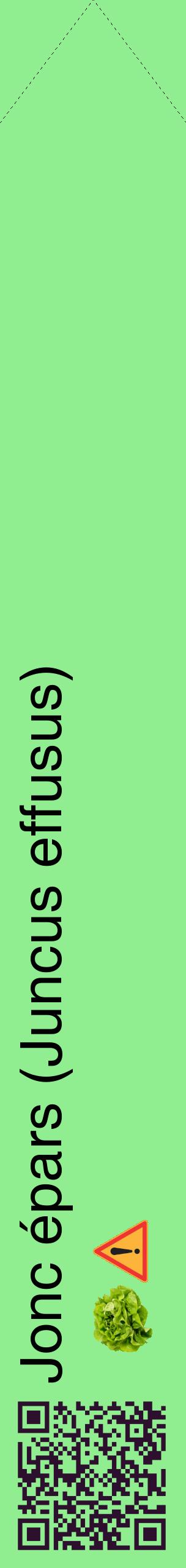 Étiquette de : Juncus effusus - format c - style noire15_simplehel avec qrcode et comestibilité simplifiée