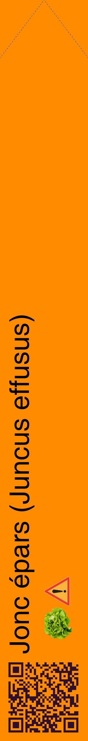 Étiquette de : Juncus effusus - format c - style noire23_simplehel avec qrcode et comestibilité simplifiée