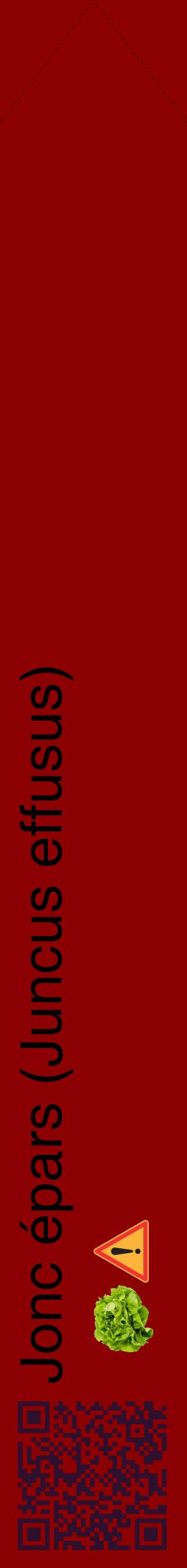 Étiquette de : Juncus effusus - format c - style noire34_simplehel avec qrcode et comestibilité simplifiée