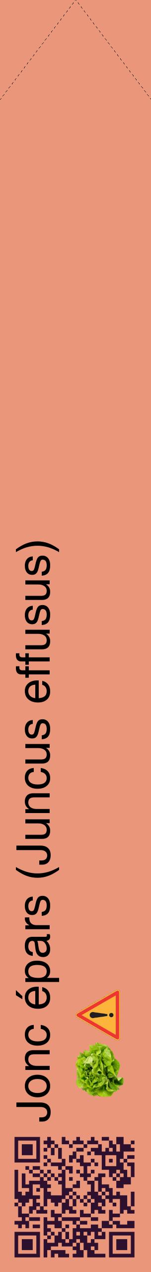 Étiquette de : Juncus effusus - format c - style noire37_simplehel avec qrcode et comestibilité simplifiée