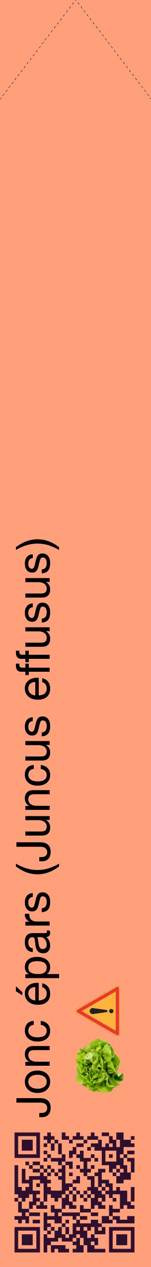 Étiquette de : Juncus effusus - format c - style noire39_simplehel avec qrcode et comestibilité simplifiée