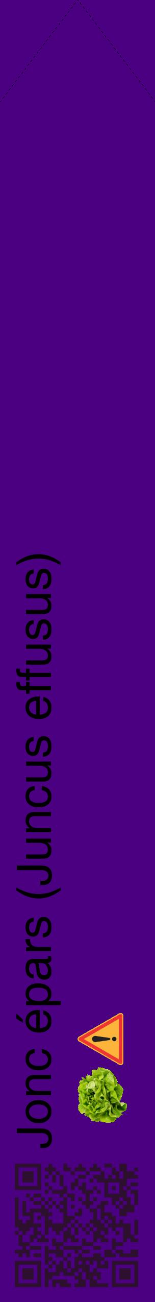 Étiquette de : Juncus effusus - format c - style noire47_simplehel avec qrcode et comestibilité simplifiée