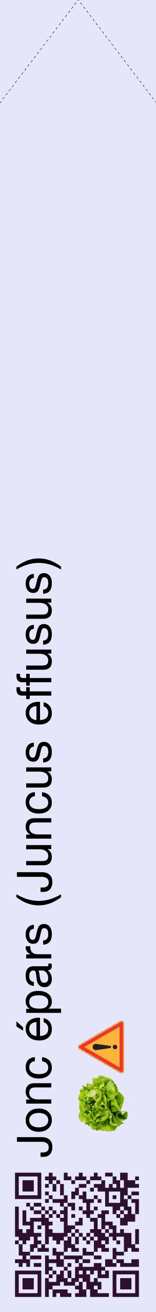 Étiquette de : Juncus effusus - format c - style noire55_simplehel avec qrcode et comestibilité simplifiée
