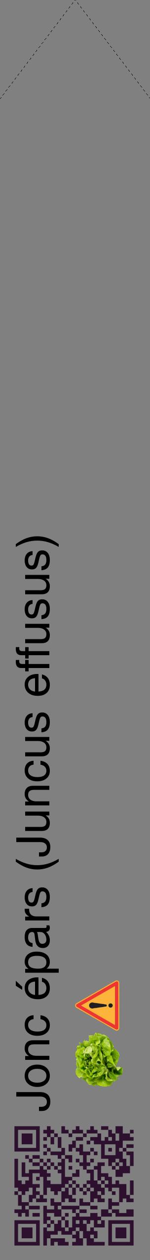 Étiquette de : Juncus effusus - format c - style noire57_simplehel avec qrcode et comestibilité simplifiée