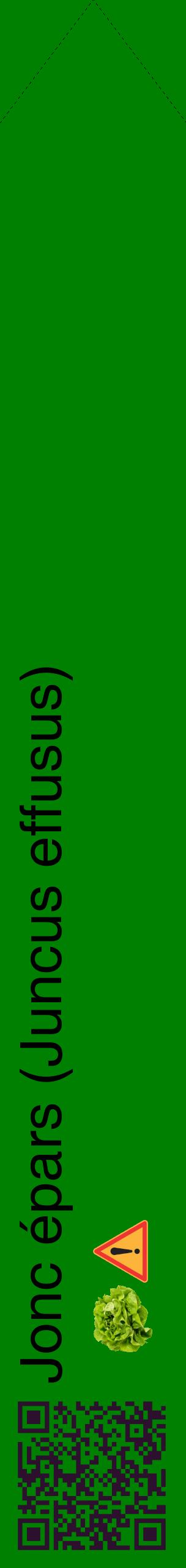 Étiquette de : Juncus effusus - format c - style noire9_simplehel avec qrcode et comestibilité simplifiée