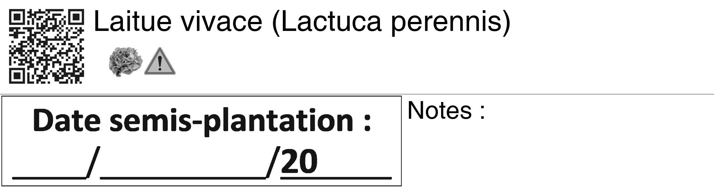 Étiquette de : Lactuca perennis - format c - style noire60_basiquegrrvhel avec qrcode et comestibilité simplifiée