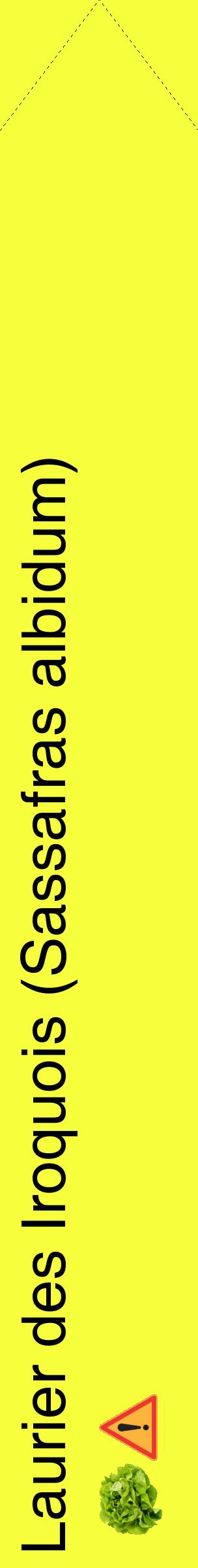 Étiquette de : Sassafras albidum - format c - style noire18_simplehel avec comestibilité simplifiée