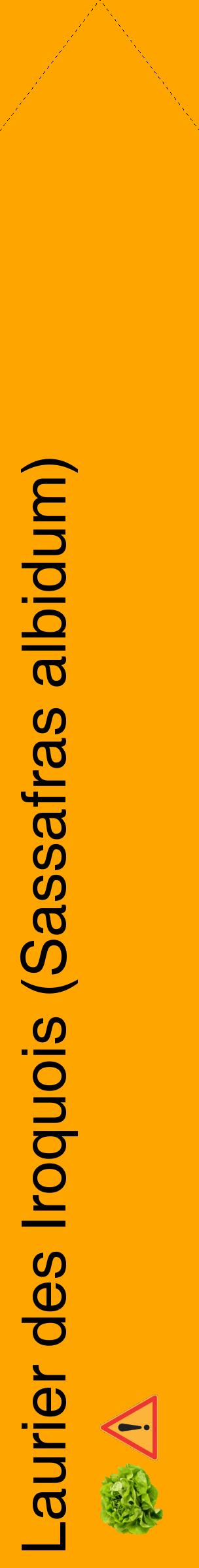 Étiquette de : Sassafras albidum - format c - style noire22_simplehel avec comestibilité simplifiée