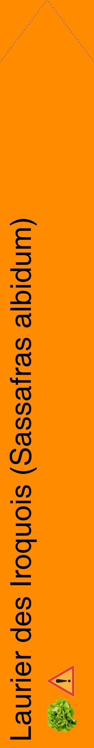 Étiquette de : Sassafras albidum - format c - style noire23_simplehel avec comestibilité simplifiée