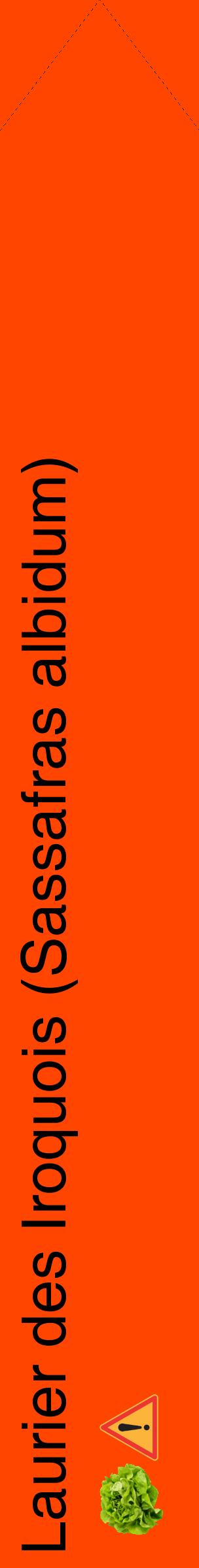 Étiquette de : Sassafras albidum - format c - style noire26_simplehel avec comestibilité simplifiée
