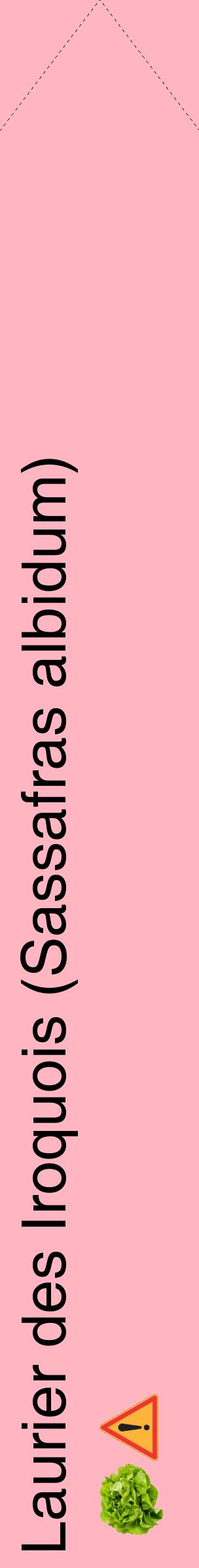 Étiquette de : Sassafras albidum - format c - style noire41_simplehel avec comestibilité simplifiée