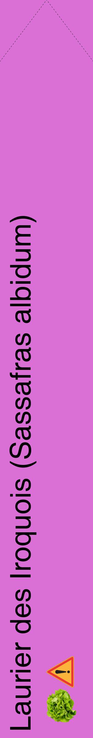 Étiquette de : Sassafras albidum - format c - style noire52_simplehel avec comestibilité simplifiée