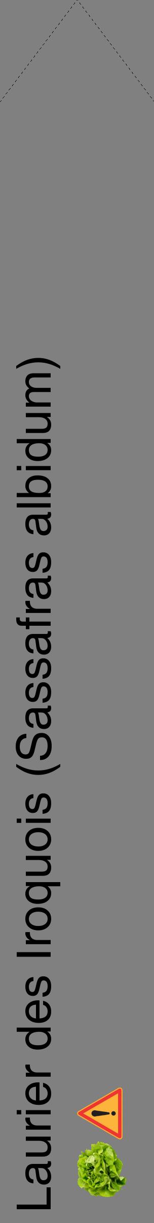 Étiquette de : Sassafras albidum - format c - style noire57_simplehel avec comestibilité simplifiée