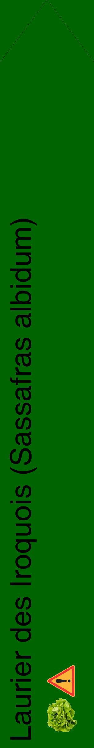 Étiquette de : Sassafras albidum - format c - style noire8_simplehel avec comestibilité simplifiée