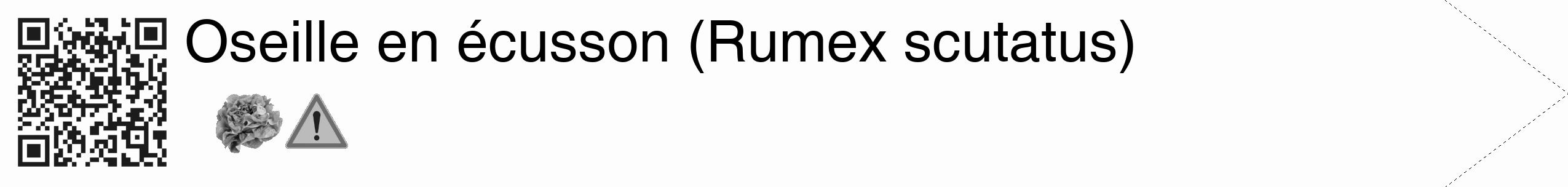 Étiquette de : Rumex scutatus - format c - style noire19_simple_simplehel avec qrcode et comestibilité simplifiée