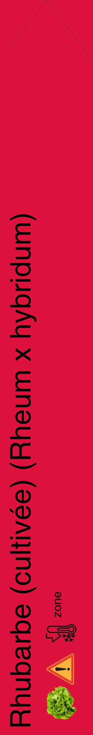 Étiquette de : Rheum x hybridum - format c - style noire36_simple_simplehel avec comestibilité simplifiée - position verticale