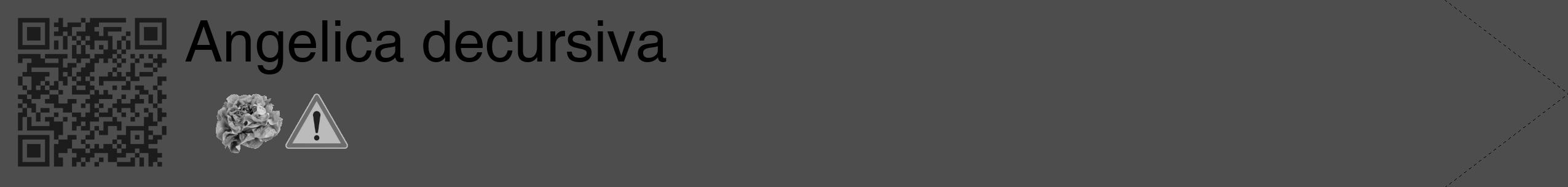 Étiquette de : Angelica decursiva - format c - style noire28_simple_simplehel avec qrcode et comestibilité simplifiée