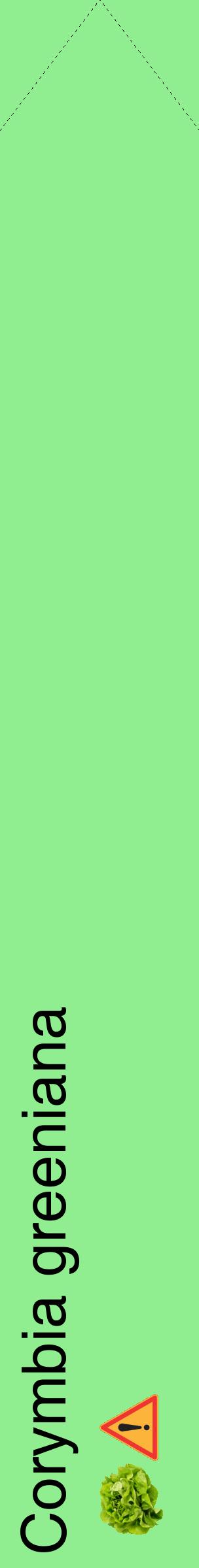 Étiquette de : Corymbia greeniana - format c - style noire15_simplehel avec comestibilité simplifiée