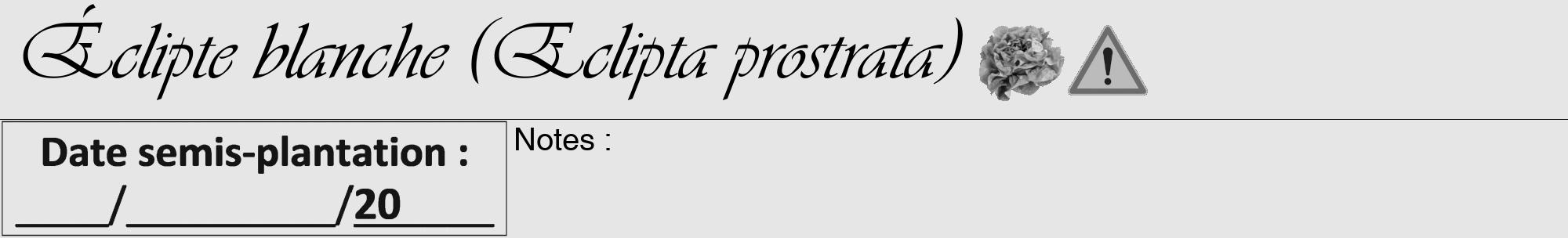 Étiquette de : Eclipta prostrata - format a - style noire18viv avec comestibilité simplifiée