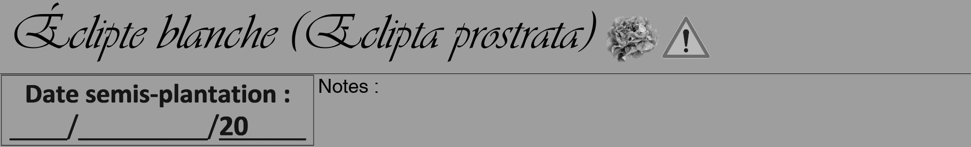 Étiquette de : Eclipta prostrata - format a - style noire23viv avec comestibilité simplifiée