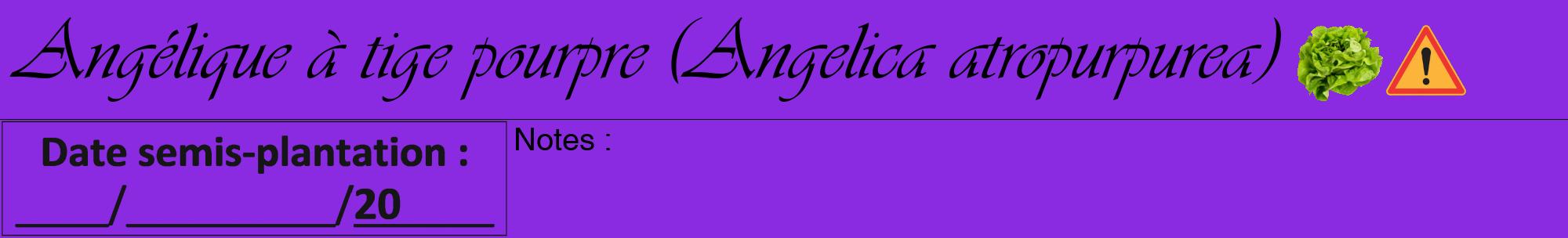 Étiquette de : Angelica atropurpurea - format a - style noire49viv avec comestibilité simplifiée