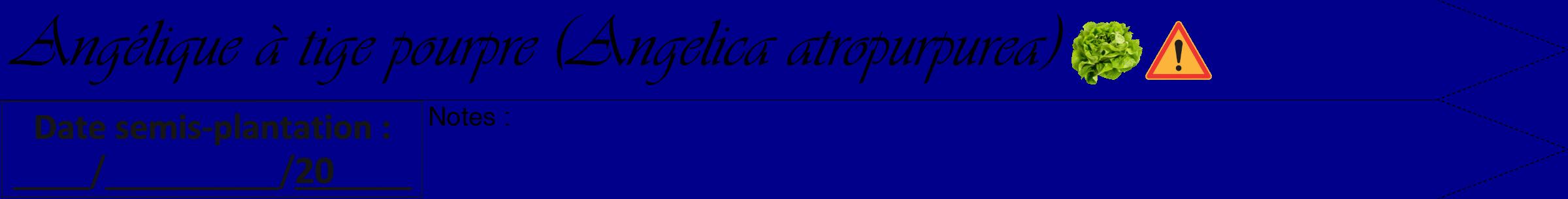 Étiquette de : Angelica atropurpurea - format a - style noire7simpleviv avec comestibilité simplifiée