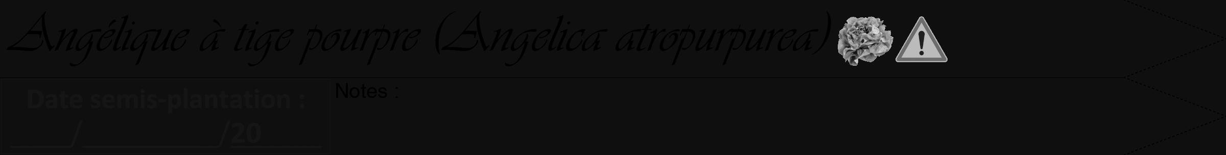 Étiquette de : Angelica atropurpurea - format a - style noire7simpleviv avec comestibilité simplifiée