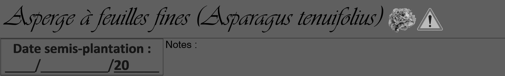 Étiquette de : Asparagus tenuifolius - format a - style noire10viv avec comestibilité simplifiée