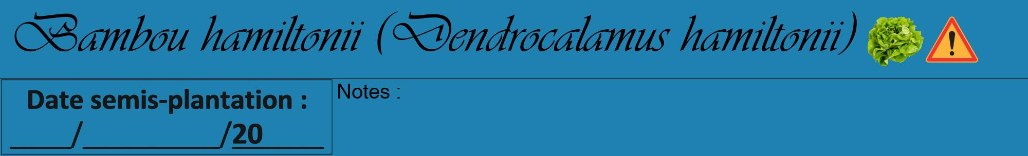 Étiquette de : Dendrocalamus hamiltonii - format a - style noire6viv avec comestibilité simplifiée