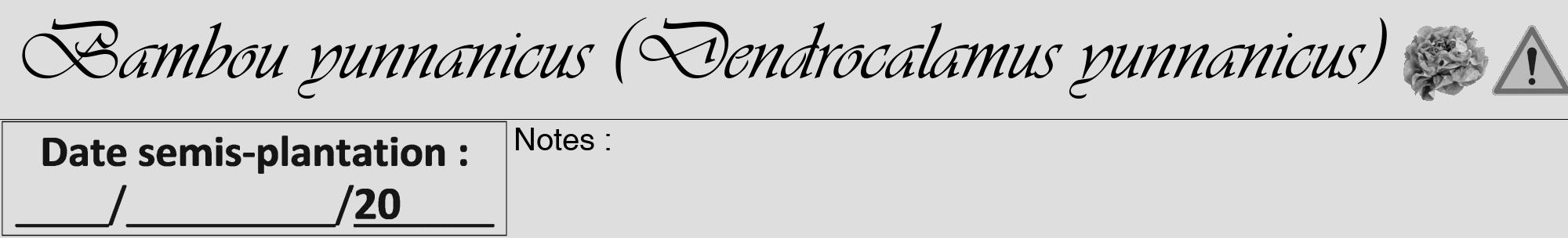 Étiquette de : Dendrocalamus yunnanicus - format a - style noire20viv avec comestibilité simplifiée