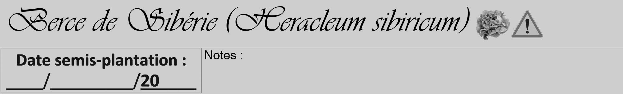 Étiquette de : Heracleum sibiricum - format a - style noire17viv avec comestibilité simplifiée