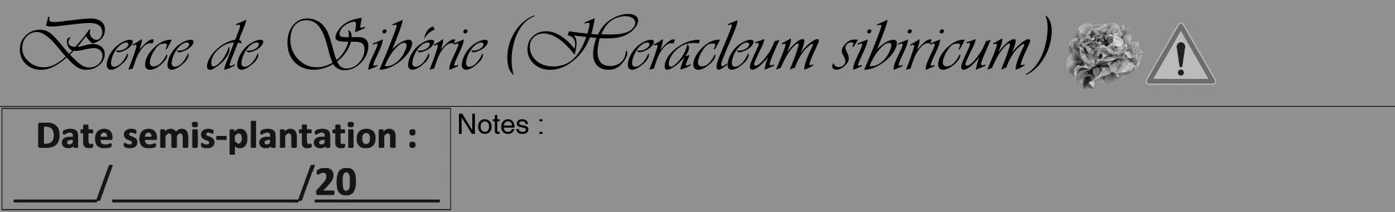 Étiquette de : Heracleum sibiricum - format a - style noire4viv avec comestibilité simplifiée