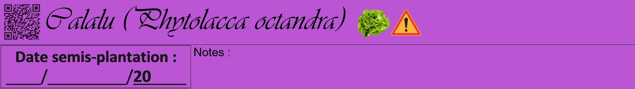 Étiquette de : Phytolacca octandra - format a - style noire50viv avec qrcode et comestibilité simplifiée