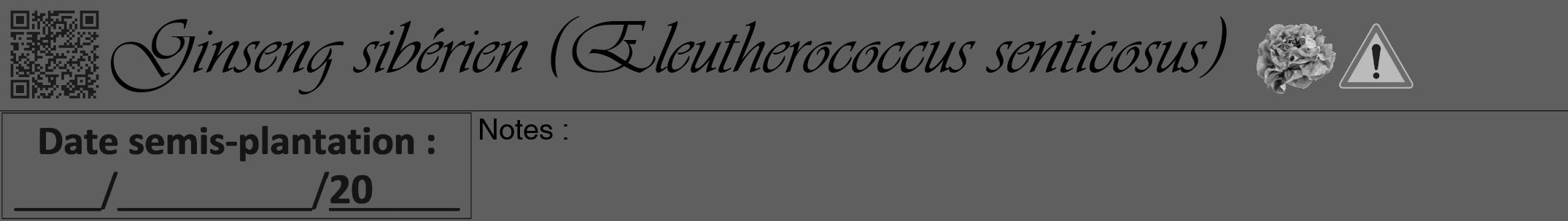 Étiquette de : Eleutherococcus senticosus - format a - style noire10viv avec qrcode et comestibilité simplifiée