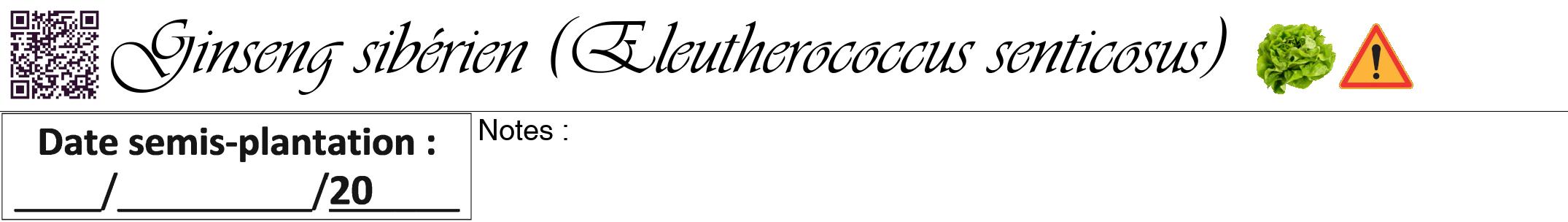 Étiquette de : Eleutherococcus senticosus - format a - style noire60viv avec qrcode et comestibilité simplifiée