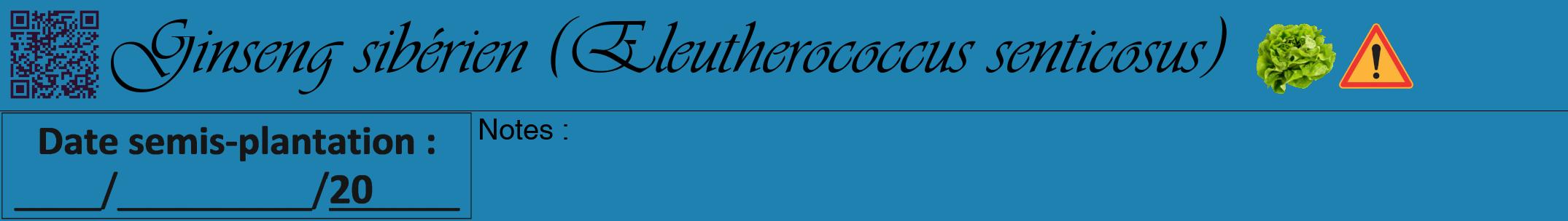 Étiquette de : Eleutherococcus senticosus - format a - style noire6viv avec qrcode et comestibilité simplifiée