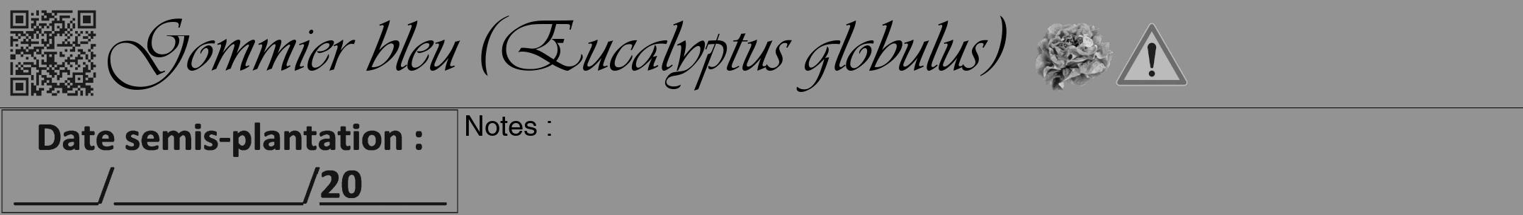 Étiquette de : Eucalyptus globulus - format a - style noire44viv avec qrcode et comestibilité simplifiée