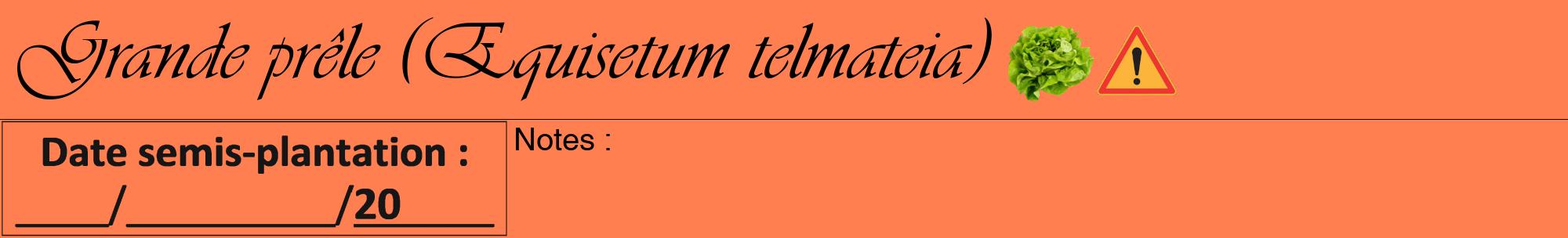 Étiquette de : Equisetum telmateia - format a - style noire24basiqueviv avec comestibilité simplifiée