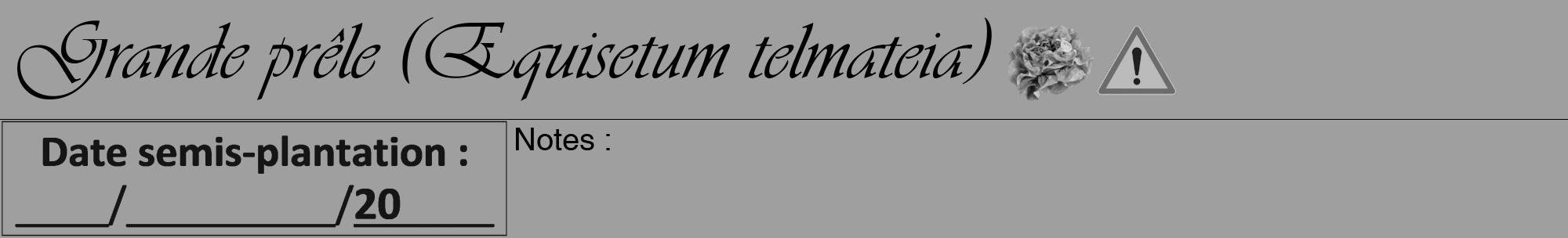 Étiquette de : Equisetum telmateia - format a - style noire24basiqueviv avec comestibilité simplifiée