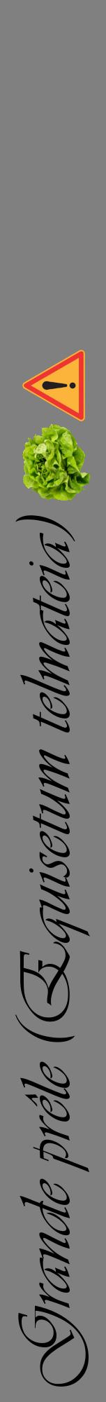Étiquette de : Equisetum telmateia - format a - style noire57viv avec comestibilité simplifiée