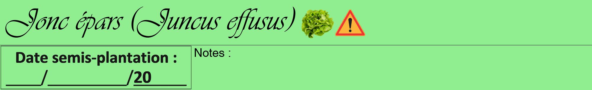 Étiquette de : Juncus effusus - format a - style noire15viv avec comestibilité simplifiée