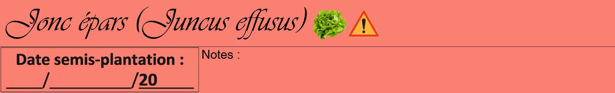 Étiquette de : Juncus effusus - format a - style noire38viv avec comestibilité simplifiée