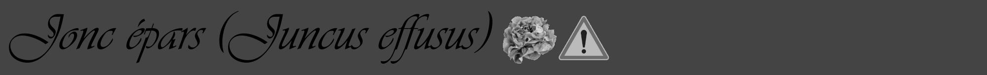 Étiquette de : Juncus effusus - format a - style noire48viv avec comestibilité simplifiée