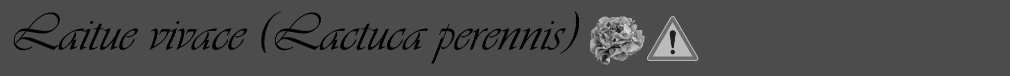 Étiquette de : Lactuca perennis - format a - style noire27viv avec comestibilité simplifiée