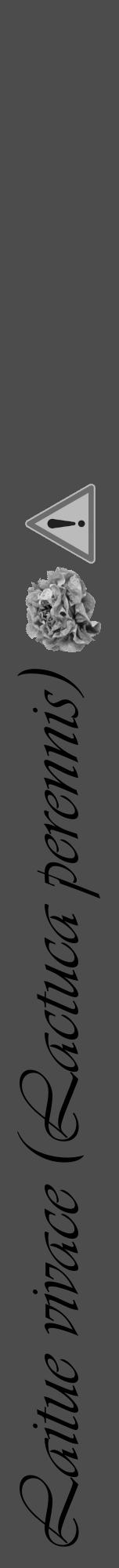 Étiquette de : Lactuca perennis - format a - style noire27viv avec comestibilité simplifiée - position verticale
