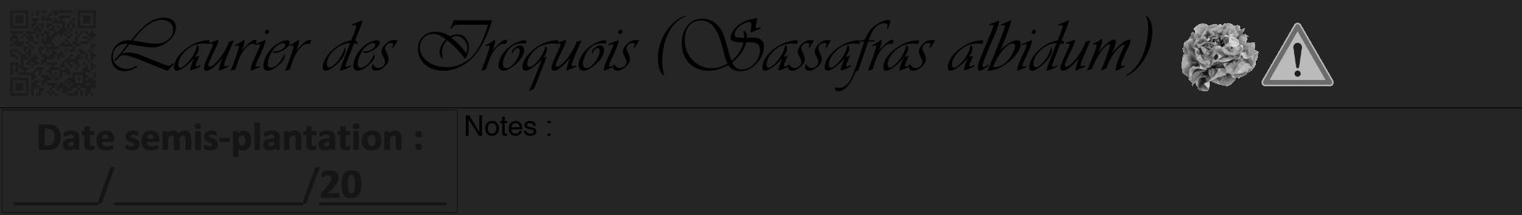 Étiquette de : Sassafras albidum - format a - style noire47viv avec qrcode et comestibilité simplifiée
