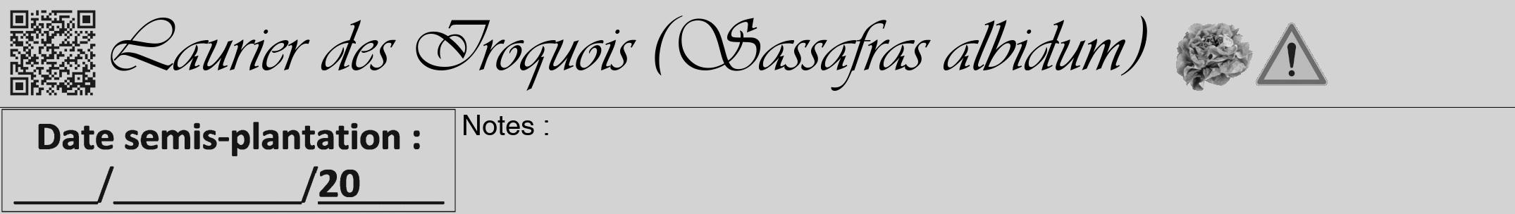 Étiquette de : Sassafras albidum - format a - style noire56viv avec qrcode et comestibilité simplifiée