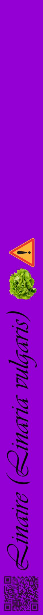 Étiquette de : Linaria vulgaris - format a - style noire48viv avec qrcode et comestibilité simplifiée