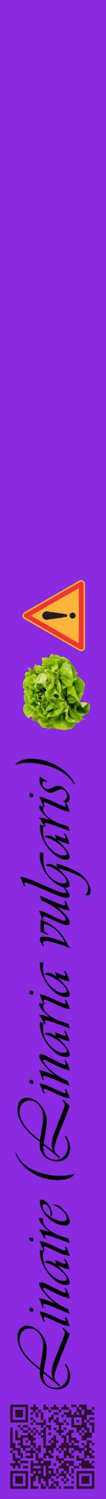 Étiquette de : Linaria vulgaris - format a - style noire49viv avec qrcode et comestibilité simplifiée